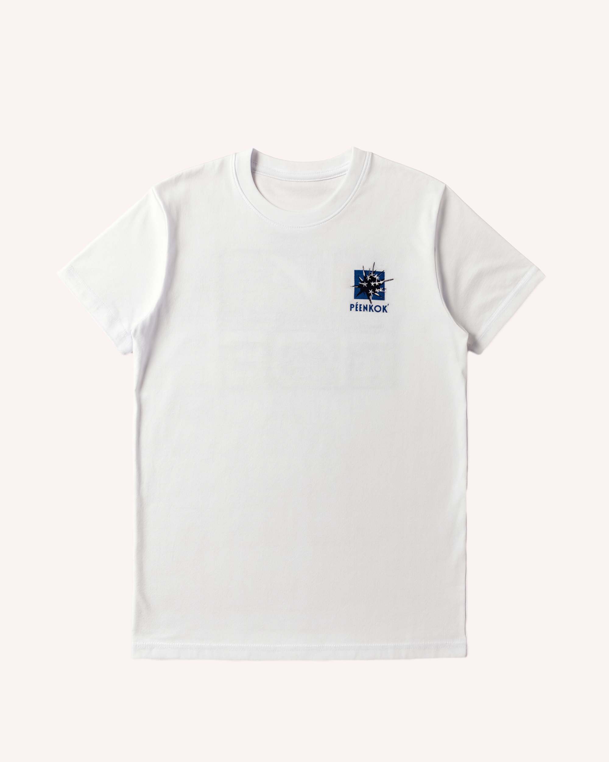 The Patagonia Tee (White)