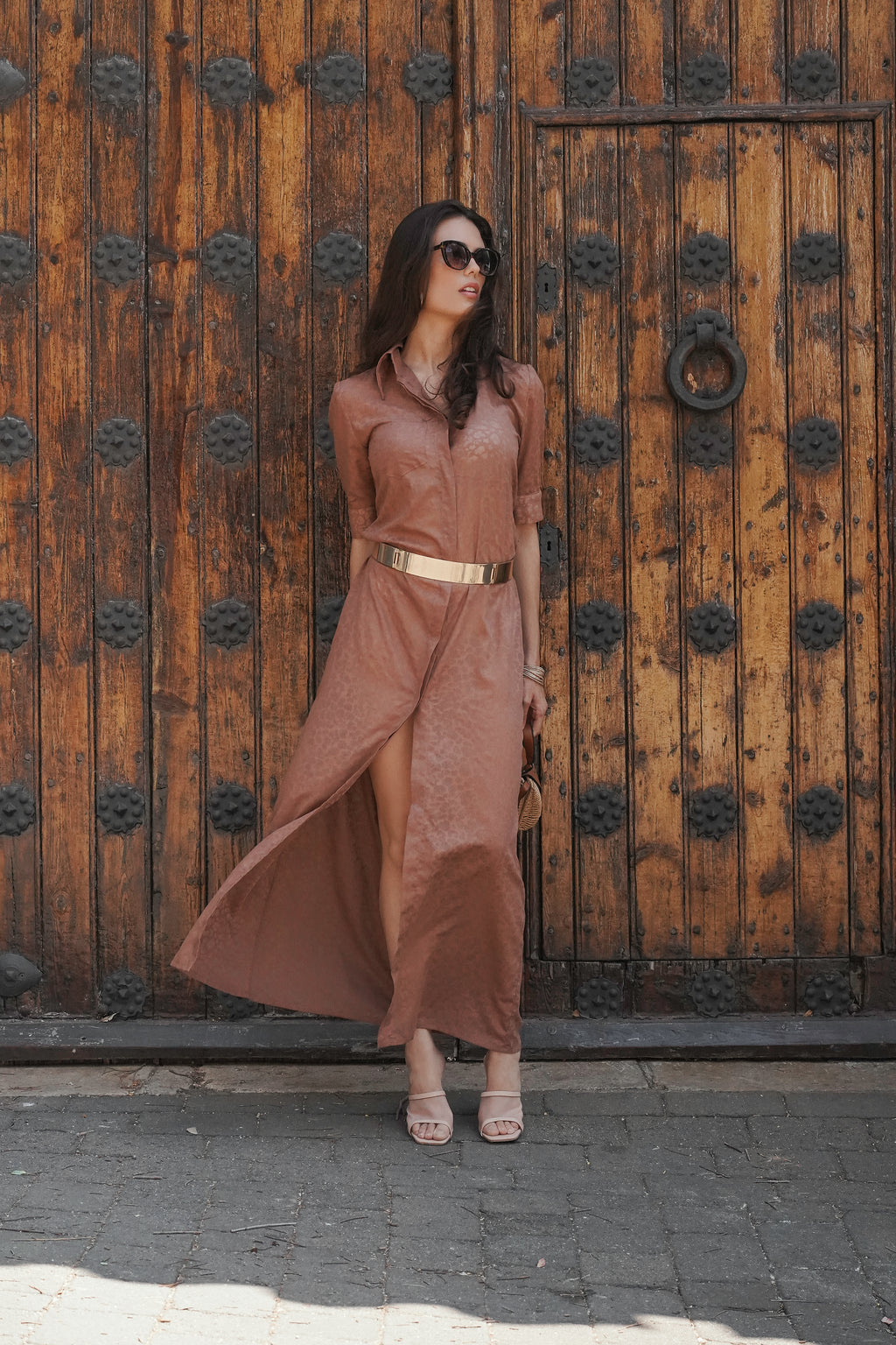 Animal Print Shirt Dress